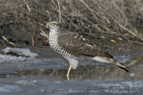 ������������