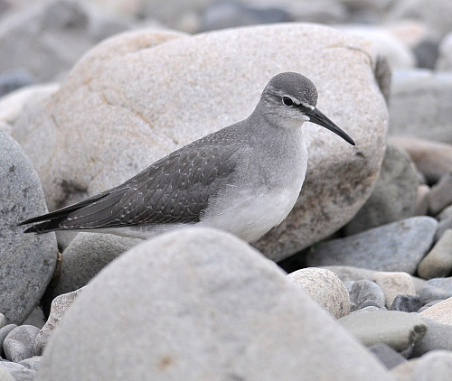 ��������� ����