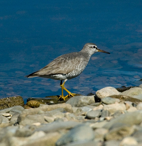 ��������� ��������� ����