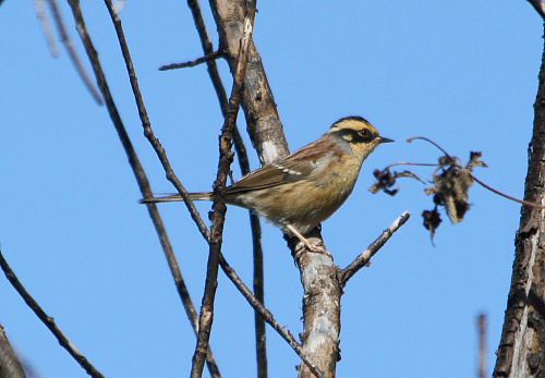 ��������� ���������