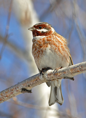 ����� ������!