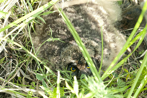 ������  �������� ����