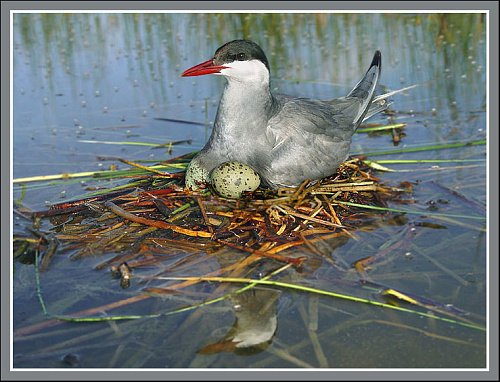 ��������� ������  ��  ������