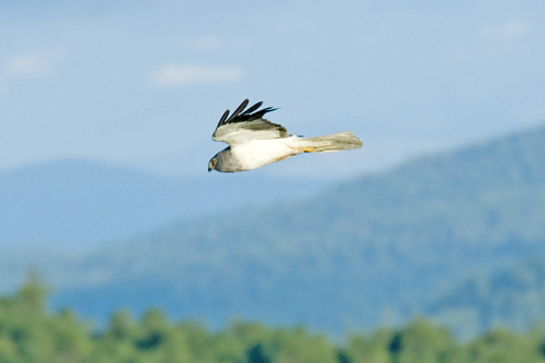 ������� ���� � �����