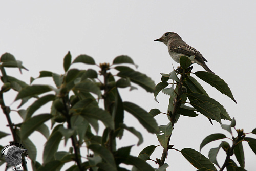 ������������ ���������