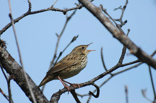 ��������� �������