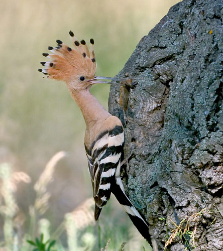 ���� � �����