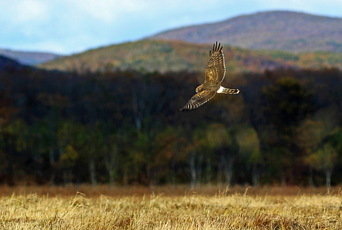 ����� �������� ���� � �����