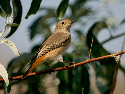 ������������ �����������