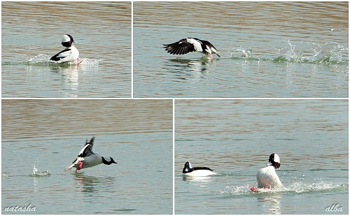 �������� ���� �������