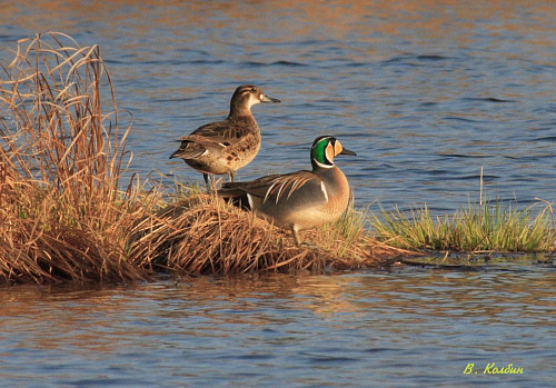 �������