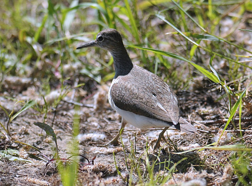 ����������