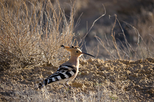 ���� � �����