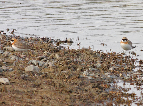 ������������ ����  