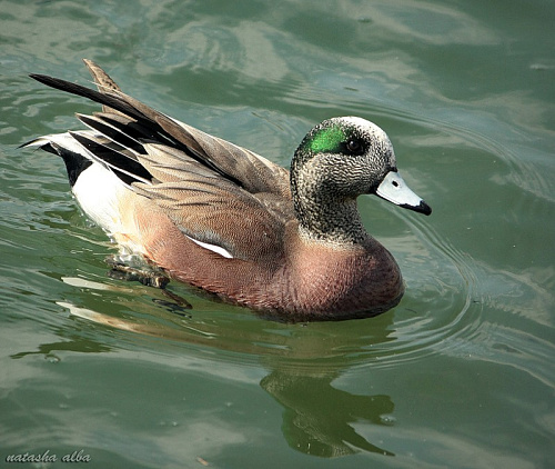 ������������ ������