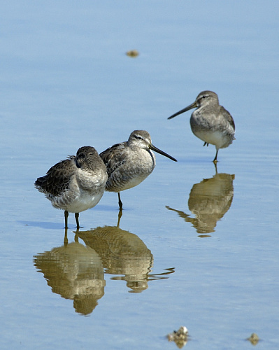 ���� �� �����