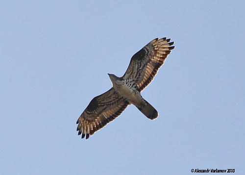 �����  � �����