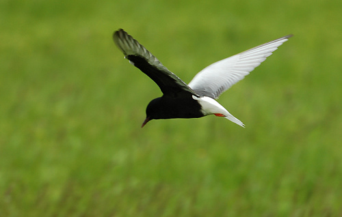 ���������� ������