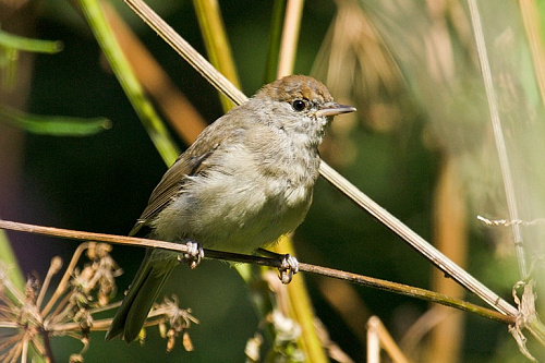 ������-������������