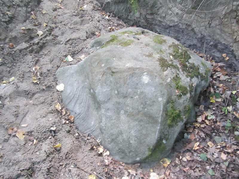 OezboUqzRnk.jpg