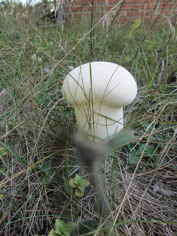 Lg6mv0614lY.jpg