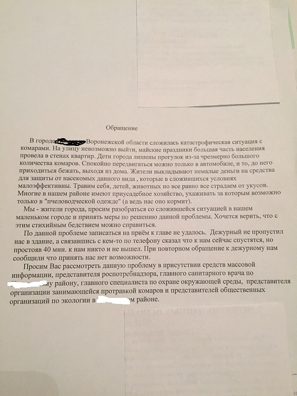 комары.jpg